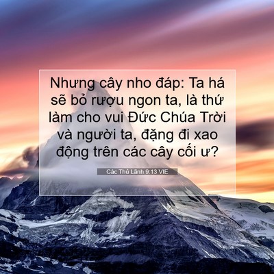 Picture 07 - Các Thủ Lãnh 9:13 VIE - Nhưng cây nho đáp: Ta há sẽ bỏ rượu - Bible Verse Picture