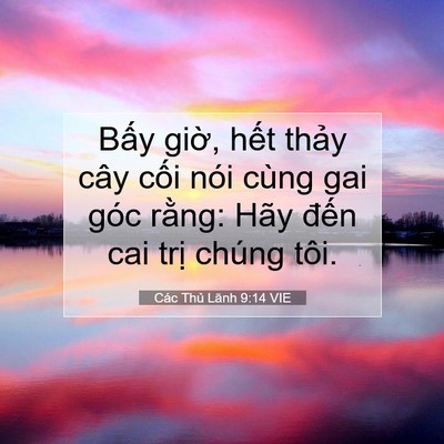 Picture 07 - Các Thủ Lãnh 9:14 VIE - Bấy giờ, hết thảy cây cối nói cùng - Bible Verse Picture