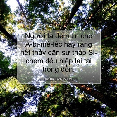 Picture 07 - Các Thủ Lãnh 9:47 VIE - Người ta đem tin cho A-bi-mê-léc hay rằng - Bible Verse Picture