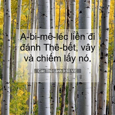 Picture 07 - Các Thủ Lãnh 9:50 VIE - A-bi-mê-léc liền đi đánh Thê-bết, vây - Bible Verse Picture