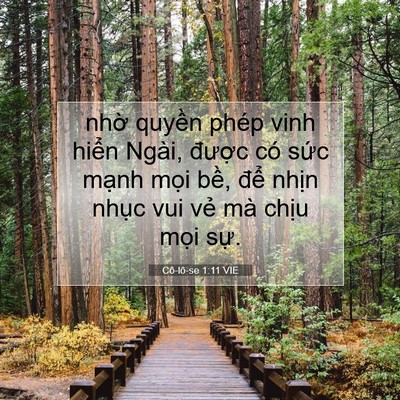 Picture 07 - Cô-lô-se 1:11 VIE - nhờ quyền phép vinh hiển Ngài, được - Bible Verse Picture