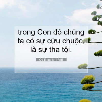 Picture 07 - Cô-lô-se 1:14 VIE - trong Con đó chúng ta có sự cứu chuộc, - Bible Verse Picture