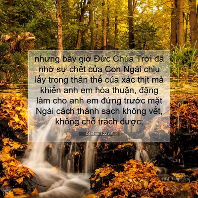 Picture 07 - Cô-lô-se 1:22 VIE - nhưng bây giờ Đức Chúa Trời đã nhờ - Bible Verse Picture