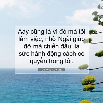 Picture 07 - Cô-lô-se 1:29 VIE - Aáy cũng là vì đó mà tôi làm việc, - Bible Verse Picture