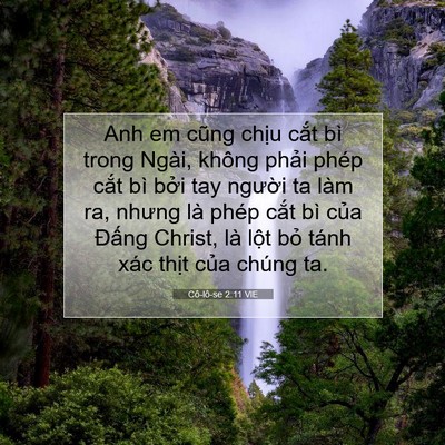 Picture 07 - Cô-lô-se 2:11 VIE - Anh em cũng chịu cắt bì trong Ngài, không - Bible Verse Picture
