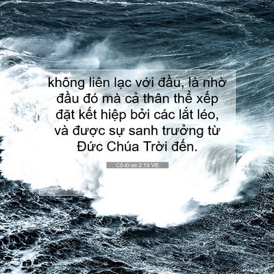 Picture 07 - Cô-lô-se 2:19 VIE - không liên lạc với đầu, là nhờ đầu - Bible Verse Picture