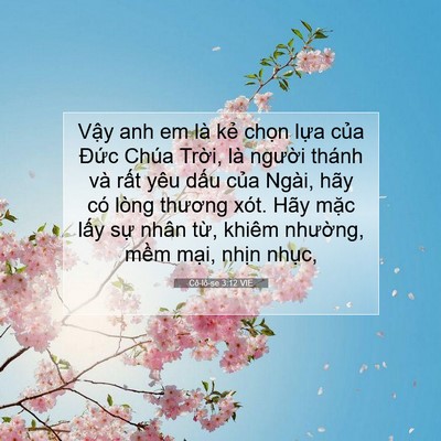 Picture 07 - Cô-lô-se 3:12 VIE - Vậy anh em là kẻ chọn lựa của Đức - Bible Verse Picture