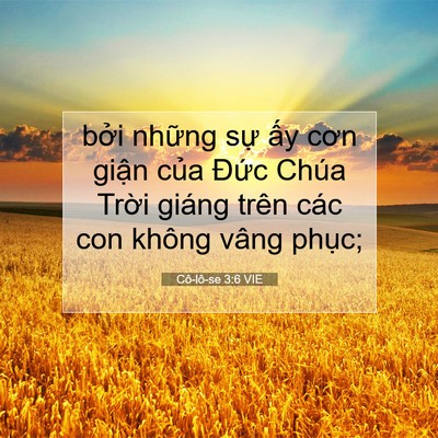 Picture 07 - Cô-lô-se 3:6 VIE - bởi những sự ấy cơn giận của Đức - Bible Verse Picture