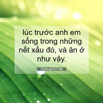 Picture 07 - Cô-lô-se 3:7 VIE - lúc trước anh em sống trong những nết - Bible Verse Picture