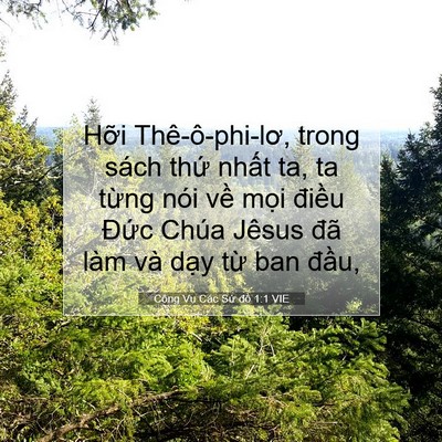 Picture 07 - Công Vụ Các Sứ đồ 1:1 VIE - Hỡi Thê-ô-phi-lơ, trong sách thứ nhất - Bible Verse Picture