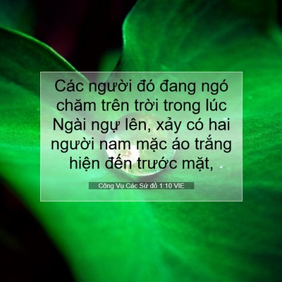 Picture 07 - Công Vụ Các Sứ đồ 1:10 VIE - Các người đó đang ngó chăm trên trời - Bible Verse Picture