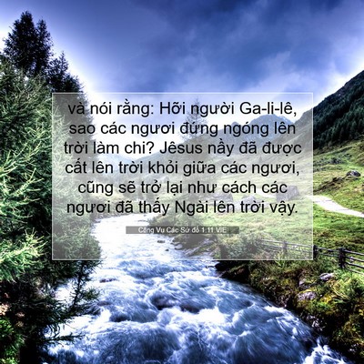 Picture 07 - Công Vụ Các Sứ đồ 1:11 VIE - và nói rằng: Hỡi người Ga-li-lê, sao - Bible Verse Picture
