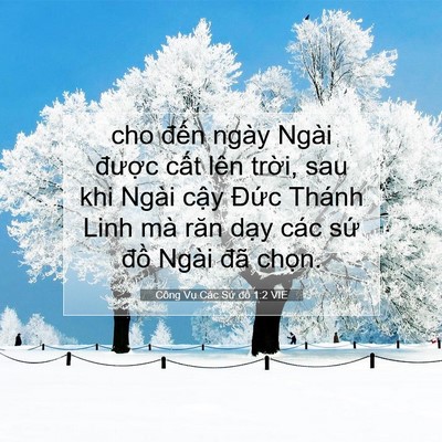 Picture 07 - Công Vụ Các Sứ đồ 1:2 VIE - cho đến ngày Ngài được cất lên - Bible Verse Picture