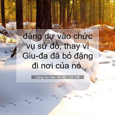 Picture 07 - Công Vụ Các Sứ đồ 1:25 VIE - đặng dự vào chức vụ sứ đồ, thay - Bible Verse Picture