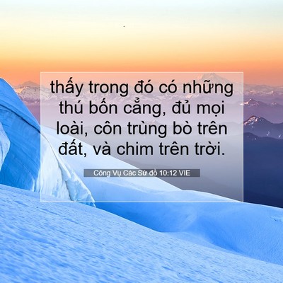 Picture 07 - Công Vụ Các Sứ đồ 10:12 VIE - thấy trong đó có những thú bốn cẳng, - Bible Verse Picture