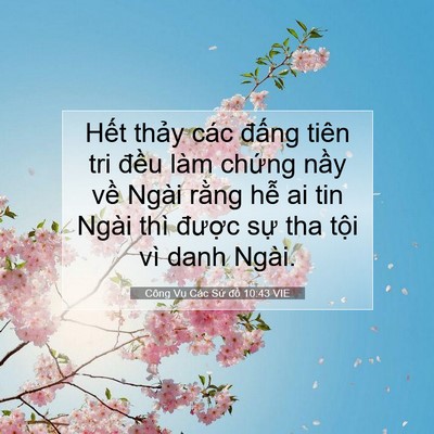 Picture 07 - Công Vụ Các Sứ đồ 10:43 VIE - Hết thảy các đấng tiên tri đều làm - Bible Verse Picture