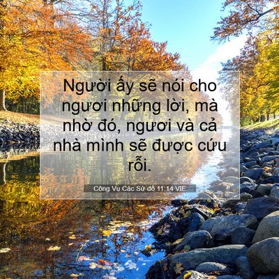 Picture 07 - Công Vụ Các Sứ đồ 11:14 VIE - Người ấy sẽ nói cho ngươi những - Bible Verse Picture