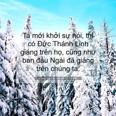 Picture 07 - Công Vụ Các Sứ đồ 11:15 VIE - Ta mới khởi sự nói, thì có Đức Thánh - Bible Verse Picture