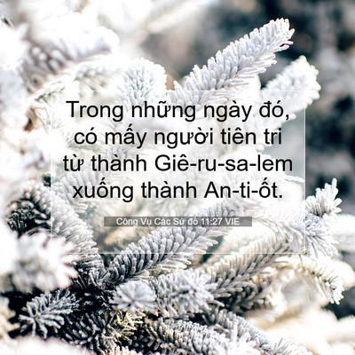 Picture 07 - Công Vụ Các Sứ đồ 11:27 VIE - Trong những ngày đó, có mấy người - Bible Verse Picture