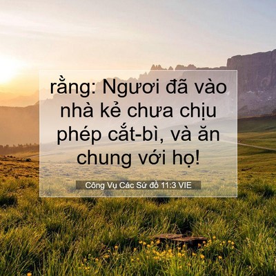 Picture 07 - Công Vụ Các Sứ đồ 11:3 VIE - rằng: Ngươi đã vào nhà kẻ chưa chịu - Bible Verse Picture