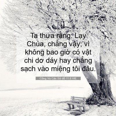 Picture 07 - Công Vụ Các Sứ đồ 11:8 VIE - Ta thưa rằng: Lạy Chúa, chẳng vậy; vì - Bible Verse Picture