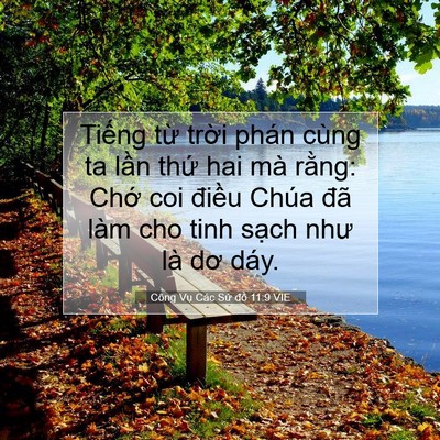 Picture 07 - Công Vụ Các Sứ đồ 11:9 VIE - Tiếng từ trời phán cùng ta lần thứ - Bible Verse Picture