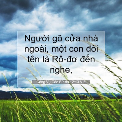 Picture 07 - Công Vụ Các Sứ đồ 12:13 VIE - Người gõ cửa nhà ngoài, một con đòi - Bible Verse Picture