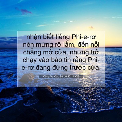 Picture 07 - Công Vụ Các Sứ đồ 12:14 VIE - nhận biết tiếng Phi-e-rơ nên mừng rỡ - Bible Verse Picture