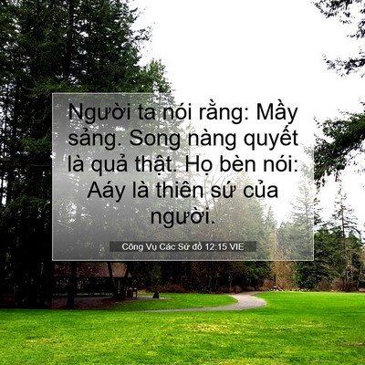 Picture 07 - Công Vụ Các Sứ đồ 12:15 VIE - Người ta nói rằng: Mầy sảng. Song nàng - Bible Verse Picture