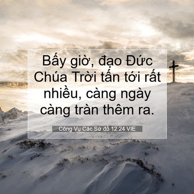 Picture 07 - Công Vụ Các Sứ đồ 12:24 VIE - Bấy giờ, đạo Đức Chúa Trời tấn - Bible Verse Picture