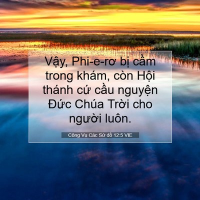 Picture 07 - Công Vụ Các Sứ đồ 12:5 VIE - Vậy, Phi-e-rơ bị cầm trong khám, còn - Bible Verse Picture