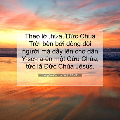 Picture 07 - Công Vụ Các Sứ đồ 13:23 VIE - Theo lời hứa, Đức Chúa Trời bèn bởi - Bible Verse Picture