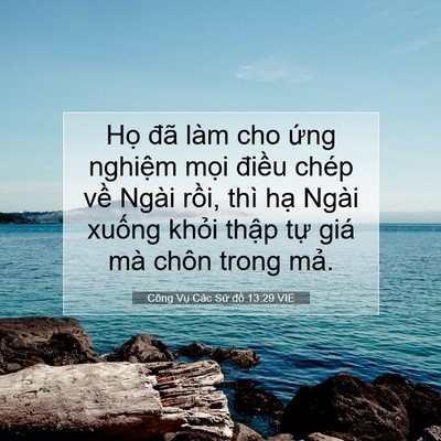 Picture 07 - Công Vụ Các Sứ đồ 13:29 VIE - Họ đã làm cho ứng nghiệm mọi điều - Bible Verse Picture