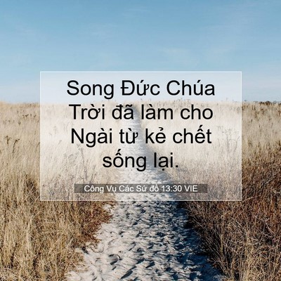 Picture 07 - Công Vụ Các Sứ đồ 13:30 VIE - Song Đức Chúa Trời đã làm cho Ngài từ - Bible Verse Picture