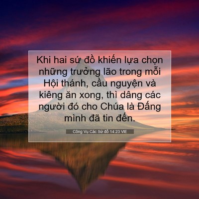 Picture 07 - Công Vụ Các Sứ đồ 14:23 VIE - Khi hai sứ đồ khiến lựa chọn những - Bible Verse Picture
