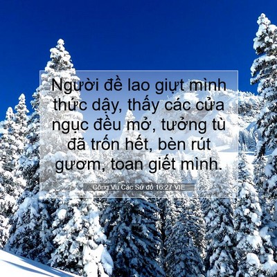 Picture 07 - Công Vụ Các Sứ đồ 16:27 VIE - Người đề lao giựt mình thức dậy, - Bible Verse Picture