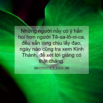 Picture 07 - Công Vụ Các Sứ đồ 17:11 VIE - Những người nầy có ý hẳn hoi hơn - Bible Verse Picture