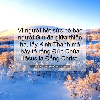Picture 07 - Công Vụ Các Sứ đồ 18:28 VIE - Vì người hết sức bẻ bác người - Bible Verse Picture