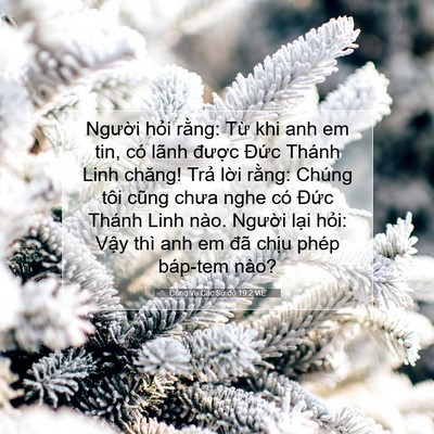 Picture 07 - Công Vụ Các Sứ đồ 19:2 VIE - Người hỏi rằng: Từ khi anh em tin, có - Bible Verse Picture
