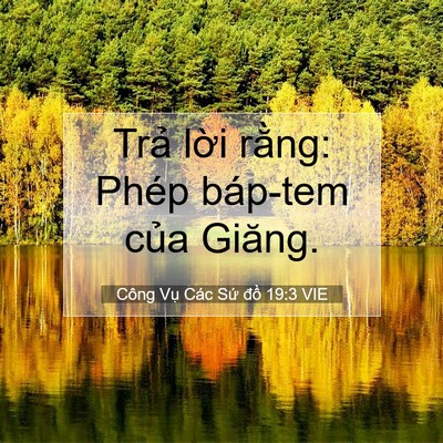 Picture 07 - Công Vụ Các Sứ đồ 19:3 VIE - Trả lời rằng: Phép báp-tem của - Bible Verse Picture