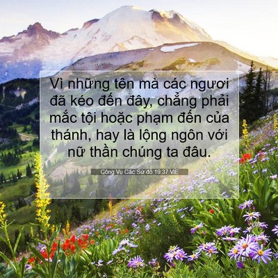 Picture 07 - Công Vụ Các Sứ đồ 19:37 VIE - Vì những tên mà các ngươi đã kéo - Bible Verse Picture
