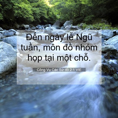 Picture 07 - Công Vụ Các Sứ đồ 2:1 VIE - Đến ngày lễ Ngũ tuần, môn đồ nhóm - Bible Verse Picture