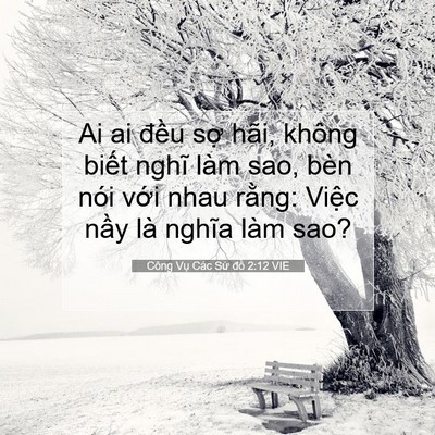 Picture 07 - Công Vụ Các Sứ đồ 2:12 VIE - Ai ai đều sợ hãi, không biết nghĩ làm - Bible Verse Picture