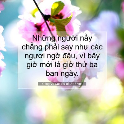 Picture 07 - Công Vụ Các Sứ đồ 2:15 VIE - Những người nầy chẳng phải say như - Bible Verse Picture