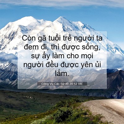 Picture 07 - Công Vụ Các Sứ đồ 20:12 VIE - Còn gã tuổi trẻ người ta đem đi, thì - Bible Verse Picture