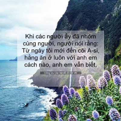 Picture 07 - Công Vụ Các Sứ đồ 20:18 VIE - Khi các người ấy đã nhóm cùng người, - Bible Verse Picture