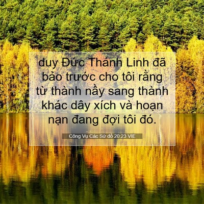 Picture 07 - Công Vụ Các Sứ đồ 20:23 VIE - duy Đức Thánh Linh đã bảo trước cho - Bible Verse Picture