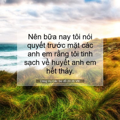 Picture 07 - Công Vụ Các Sứ đồ 20:26 VIE - Nên bữa nay tôi nói quyết trước mặt - Bible Verse Picture