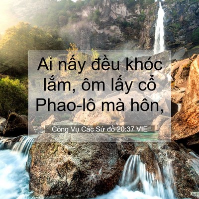 Picture 07 - Công Vụ Các Sứ đồ 20:37 VIE - Ai nấy đều khóc lắm, ôm lấy cổ - Bible Verse Picture