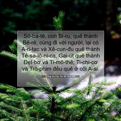 Picture 07 - Công Vụ Các Sứ đồ 20:4 VIE - Sô-ba-tê, con Bi-ru, quê thành Bê-rê, cùng - Bible Verse Picture